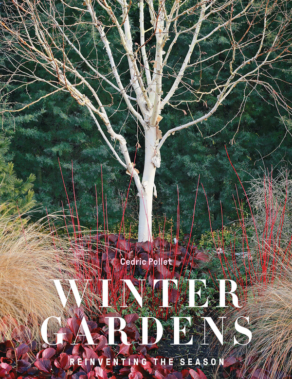 Бумажная книга «Winter Gardens», автор Седрик Полле - фото №1