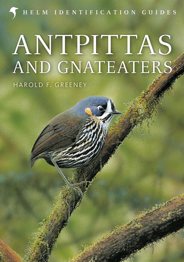 Паперова книга «Antpittas and Gnateaters», авторів Гарольд Ґрін, Гарольд Гріні - фото №1