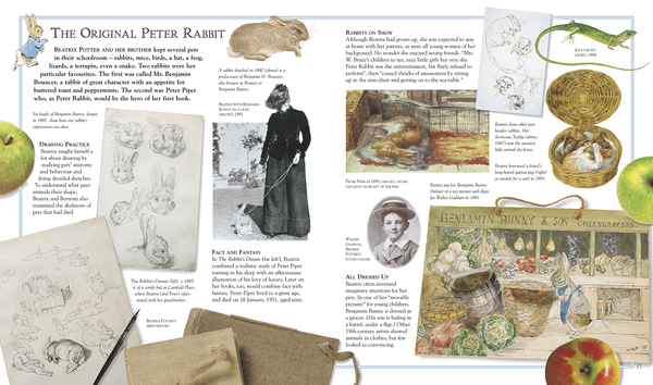 Бумажная книга «The Ultimate Peter Rabbit. A Visual Guide to the World of Beatrix Potter », автор Камилла Халлинан - фото №1