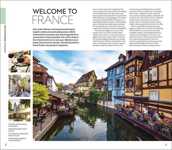 Бумажная книга «France» - фото №1