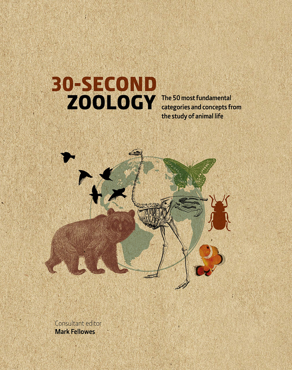 Паперова книга «30-Second Zoology. The 50 most fundamental categories and concepts from the study of animal life», автор Марк Феллоуз - фото №1