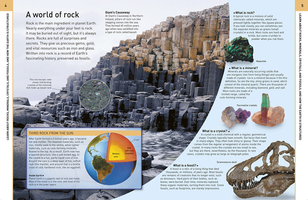 Бумажная книга «Rock and Fossil Hunter» - фото №1