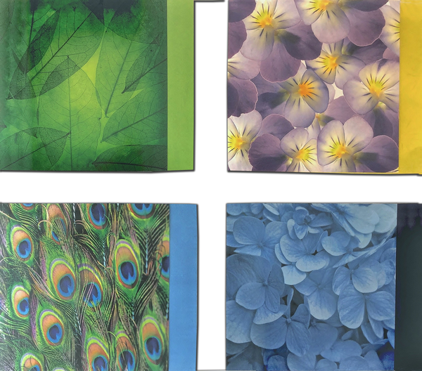 Бумажная книга «Origami Paper. 200 Sheets. Nature Patterns. 15 cm» - фото №1
