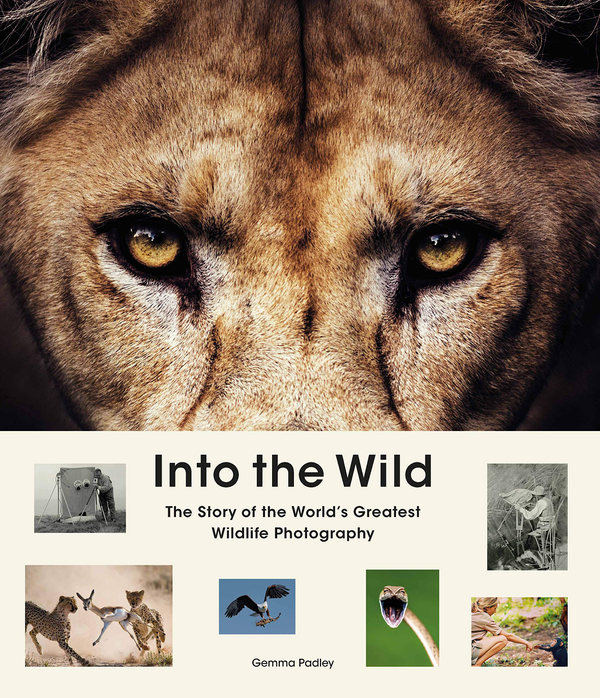 Бумажная книга «Into the Wild. The Story of the World's Greatest Wildlife Photography», автор Джемма Пэдли - фото №1