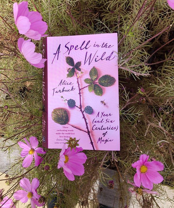 Паперова книга «A Spell in the Wild. A Year (and six centuries) of Magic», автор Еліс Тарбак - фото №1