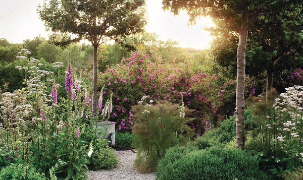 Бумажная книга «The Thoughtful Gardener. An Intelligent Approach to Garden Design», автор Джинни Блом - фото №1