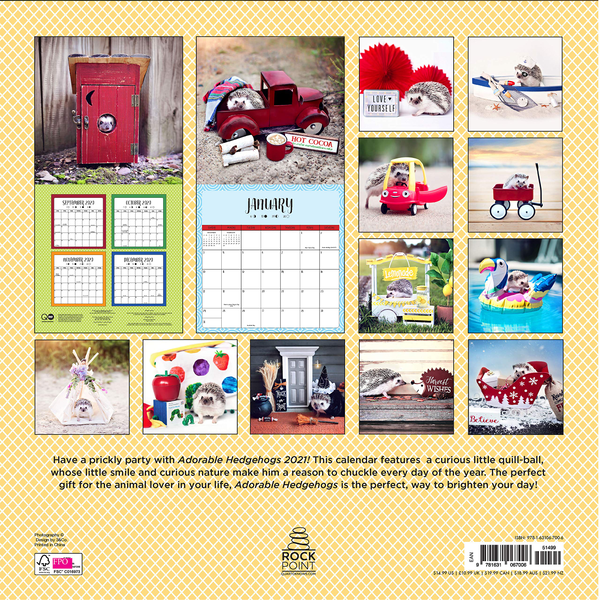 Паперова книга «Adorable Hedgehogs 2021» - фото №1