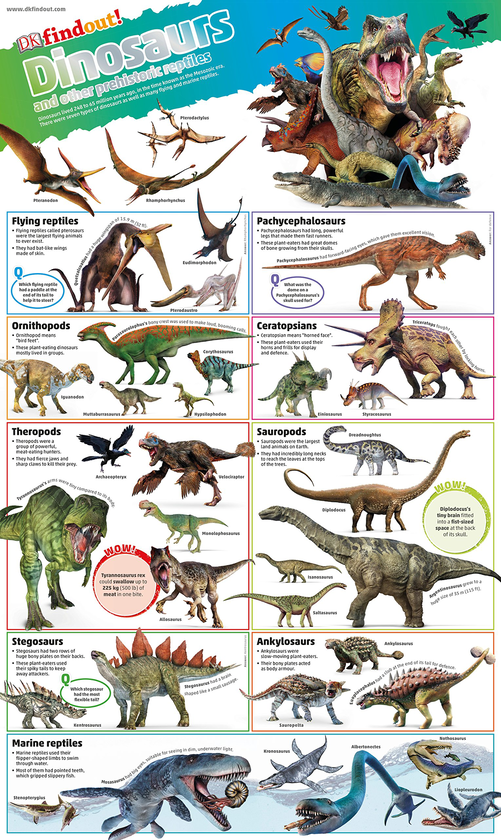 Бумажная книга «DKfindout! Dinosaurs Poster » - фото №1