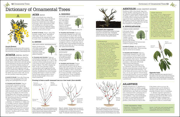 Бумажная книга «RHS Pruning & Training. Revised New Edition; Over 800 Plants; What, When, and How to Prune», авторов Кристофер Брикелл, Дэвид Джойс - фото №1