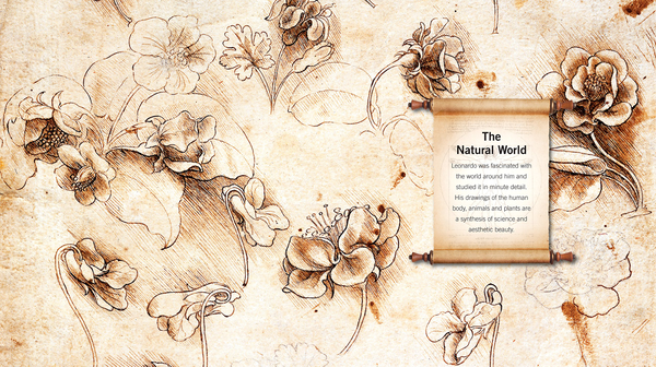 Бумажная книга «Leonardo Da Vinci Drawings», автор Сьюзен Грандж - фото №1