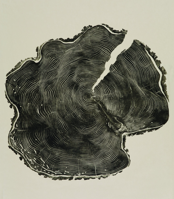 Паперова книга «Woodcut», автор Брайан Неш Гілл - фото №1
