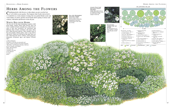 Паперова книга «RHS Encyclopedia Of Herbs» - фото №1