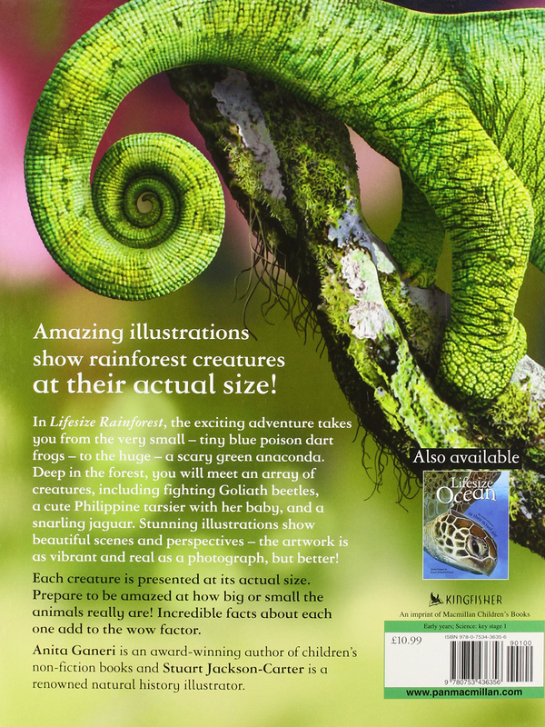 Паперова книга «Lifesize Rainforest», автор Аніта Ганері - фото №1