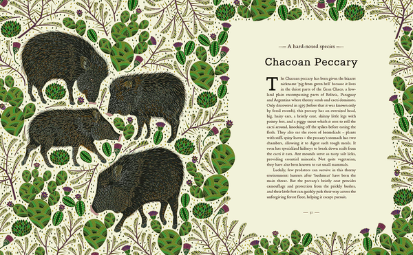 Бумажная книга «A Wild Child's Guide to Endangered Animals», автор Милли Маротта - фото №1