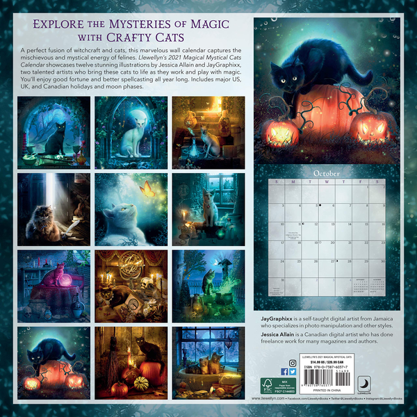Бумажная книга «Llewellyn's 2021 Magical Mystical Cats Calendar», автор Джессика Аллен - фото №1
