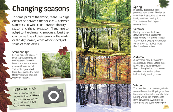 Паперова книга «Woodland and Forest. Explore Nature with Fun Facts and Activities » - фото №1