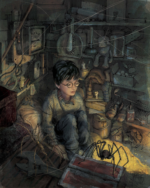 Бумажная книга «Harry Potter and the Philosopher's Stone. Illustrated Edition», автор Джоан Роулинг - фото №1