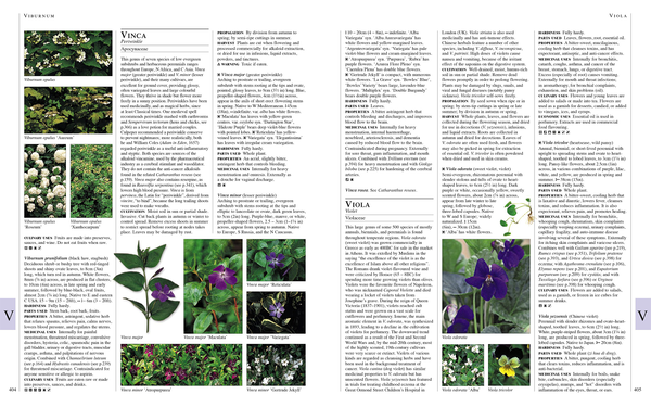 Паперова книга «RHS Encyclopedia Of Herbs» - фото №1