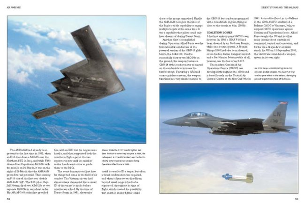 Бумажная книга «Air Combat. From World War I to the Present Day », автор Томас Ньюдик - фото №1