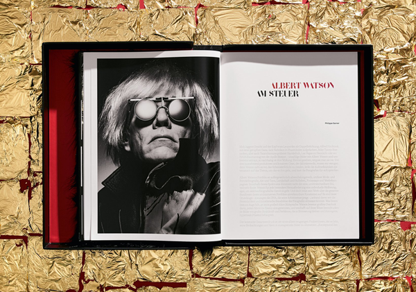 Паперова книга «Albert Watson. Kaos. Art Edition No. 101-150 "Breaunna, Las Vegas, 2001"» - фото №1