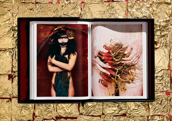 Паперова книга «Albert Watson. Kaos. Art Edition No. 101-150 "Breaunna, Las Vegas, 2001"» - фото №1