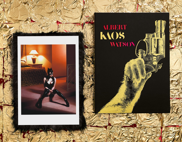 Паперова книга «Albert Watson. Kaos. Art Edition No. 101-150 "Breaunna, Las Vegas, 2001"» - фото №1