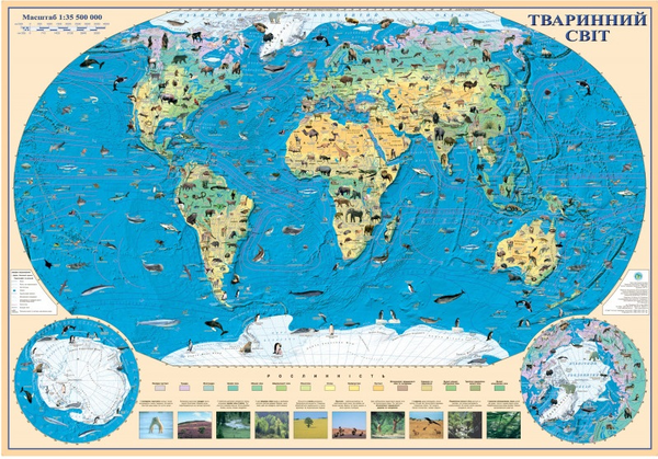 Бумажная книга «Карта Тваринний світ. 1:35 500 000» - фото №1
