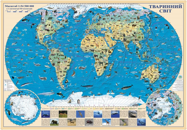 Бумажная книга «Карта Тваринний світ. 1:54 500 000» - фото №1
