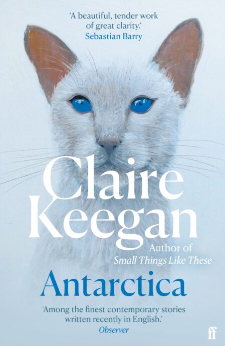 Паперова книга «Antarctica», автор Клер Кіган - фото №1