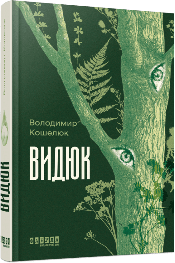 Паперова книга «Видюк», автор Володимир Кошелюк - фото №1