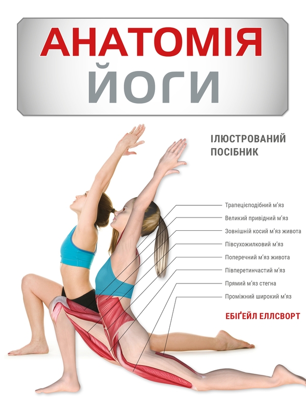 Бумажная книга «Анатомія йоги. Ілюстрований посібник», автор Эбигейл Эллсворт  - фото №1