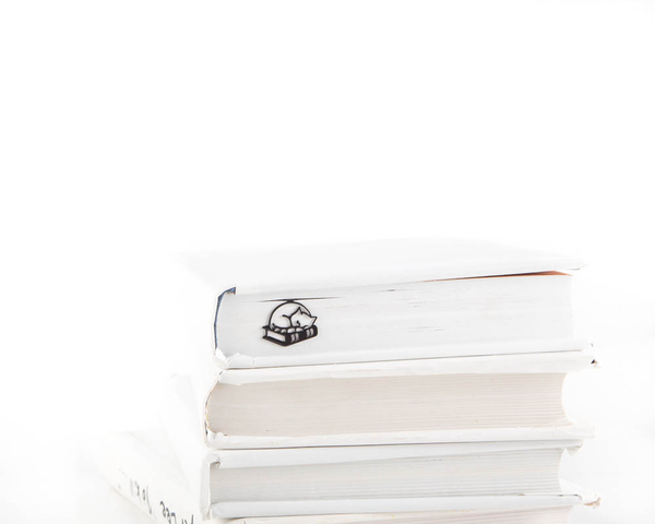 «Закладка для книг Atelier Article Кошка на книгах (1619063439430)», бренда Atelier Article - фото №1