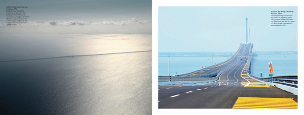 Паперова книга «Bridges», автор Девід Росс - фото №1