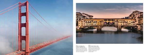 Паперова книга «Bridges», автор Девід Росс - фото №1