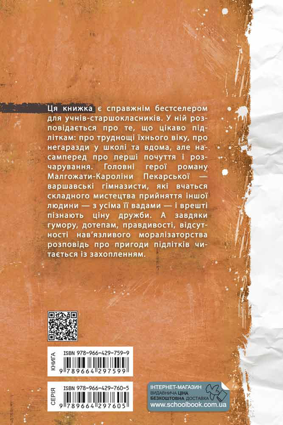 Бумажная книга «Клас пані Чайки», автор Малгожата-Каролина Пекарская - фото №1