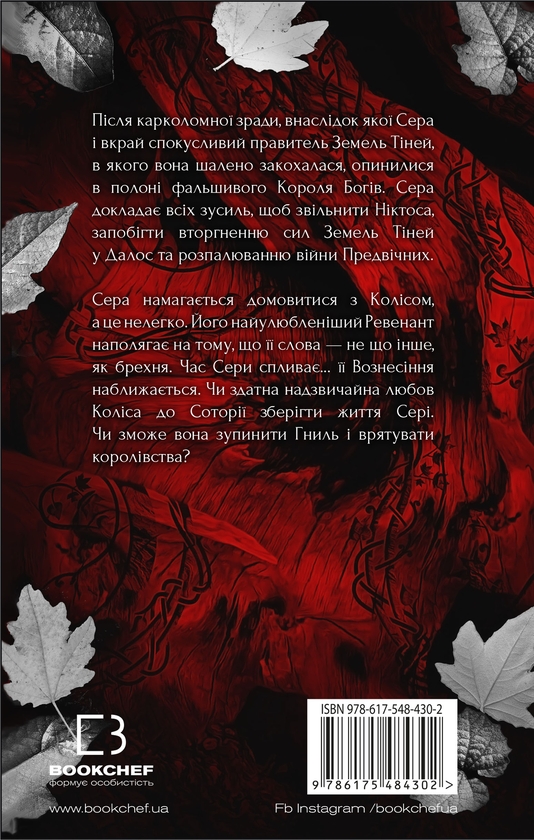 Бумажная книга «Плоть і вогонь. Книга 3. Вогонь у плоті», автор Дженнифер Л. Арментраут - фото №1