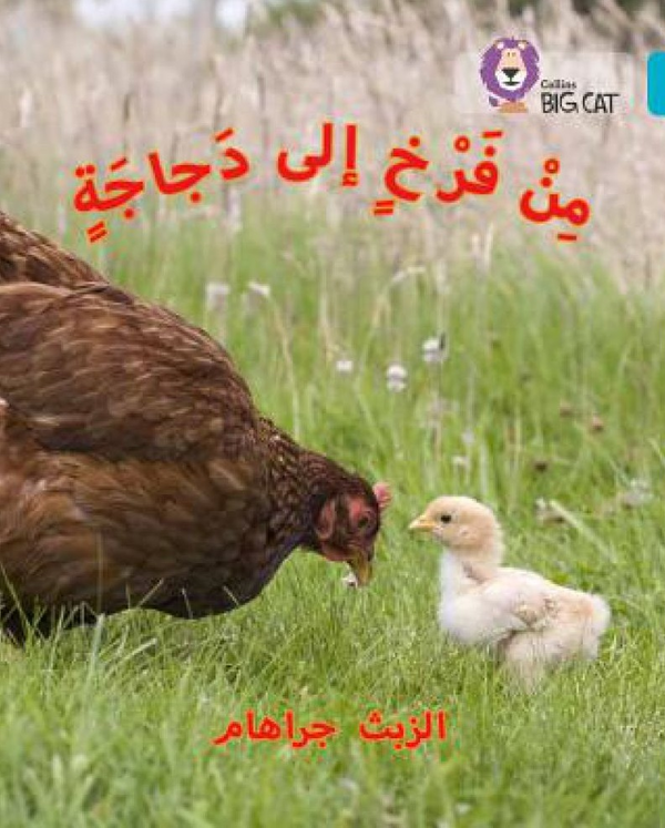 Паперова книга «Chick to Hen: Level 7» - фото №1