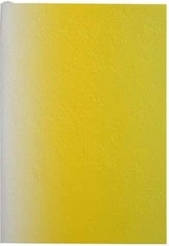 Бумажная книга «Christian Lacroix Neon Yellow A5 Ombre Paseo Notebook» - фото №1