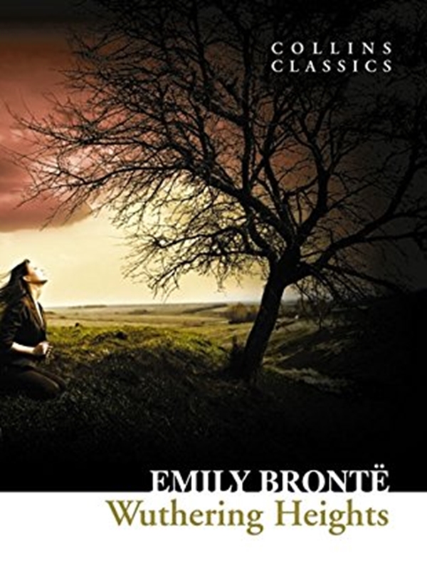 Бумажная книга «Wuthering Heights», автор Эмили Бронте - фото №1