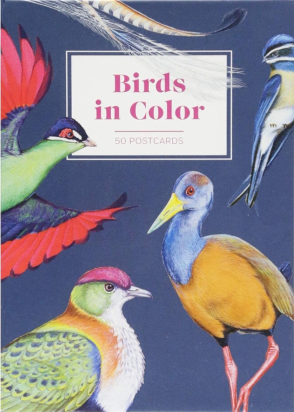 Бумажная книга «Birds in Color 50 Postcards» - фото №1