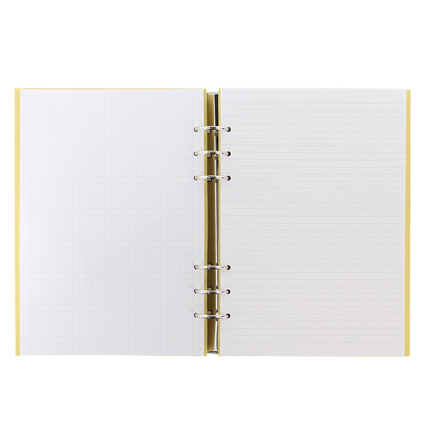  «Органайзер Filofax Clipbook A5 Classic Pastels Lemon (145000)», бренда Filofax - фото №1