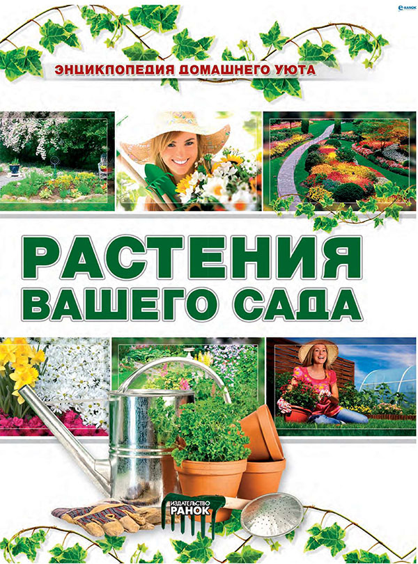 [object Object] «Растения вашего сада», автор Олена Олєйнікова - фото №1