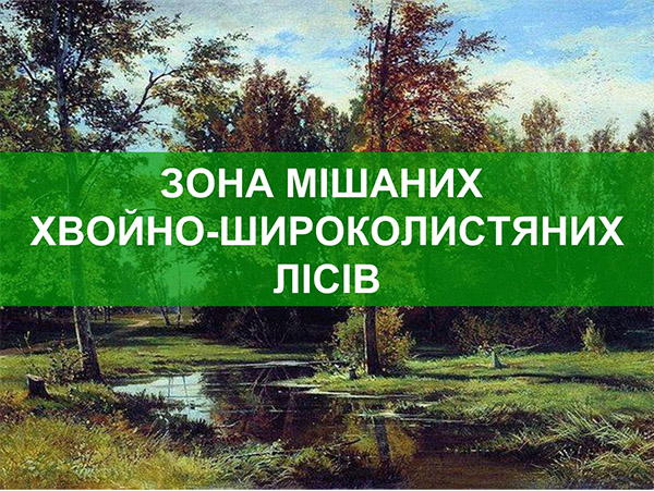Зона мішаних хвойно-широколистяних лісів. Презентація...