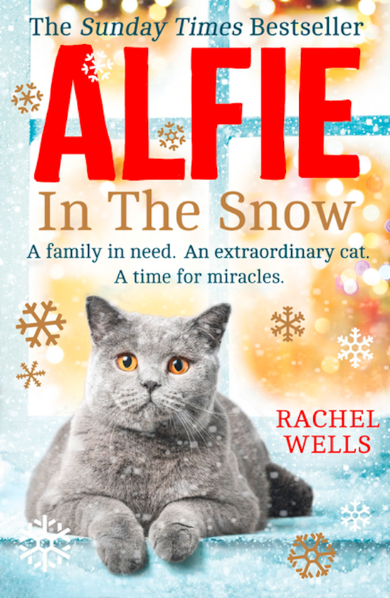 Бумажная книга «Alfie in the Snow », автор Рейчел Уэллс - фото №1