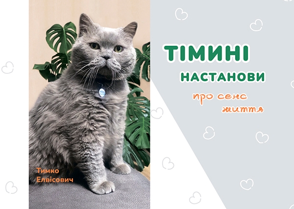 Электронная книга «Тімині настанови про сенс життя», автор Наталья Наливайко - фото №1