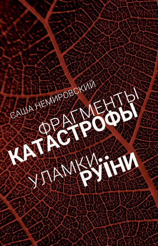 [object Object] «Уламки Руїни / Фрагменты Катастрофы», автор Олександр Немировський - фото №1
