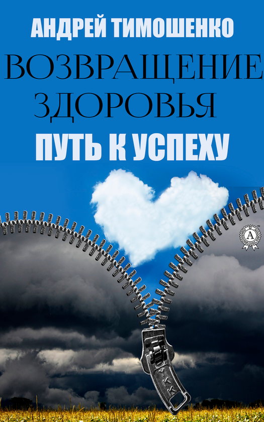 [object Object] «Возвращение здоровья. Путь к успеху», автор Андрей Тимошенко - фото №1