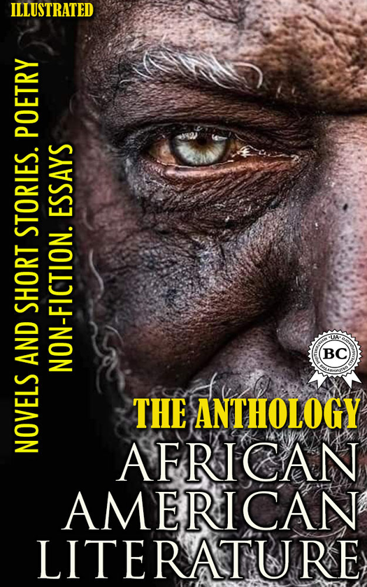 Электронная книга «The Anthology. African American literature» - фото №1