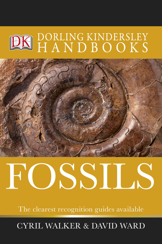[object Object] «Fossils» - фото №1