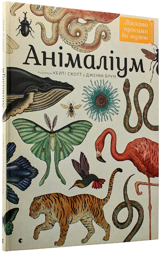Бумажная книга «Серія пізнавальних книжок-музеїв (комплект із 3 книг)», авторов Дженни Брум, Джо Нельсон, Кэти Уиллис - фото №1